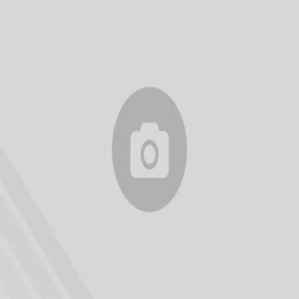 cache/resized/5654f7d44badfca0d9b16c0c3d7fc646.jpg